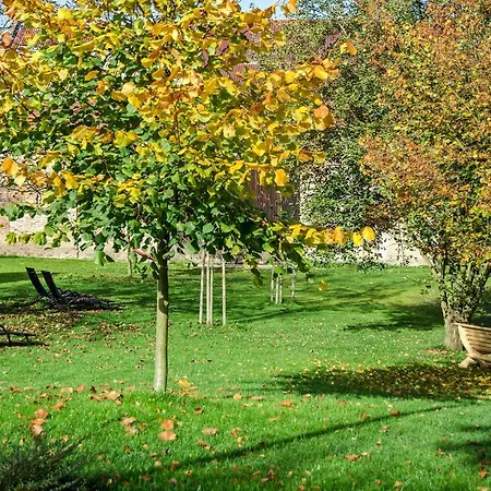 Homutuv Statek 3* Kokorin