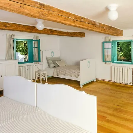 Homutuv Statek Kokorin