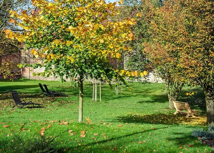 Homutuv Statek 3* Kokorin