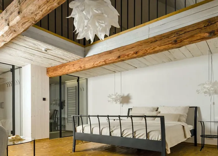 Homutuv Statek Guest house Kokorin