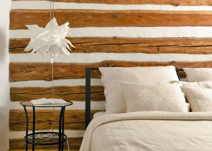 Homutuv Statek Kokorin