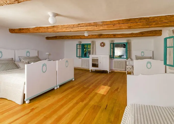 Homutuv Statek Kokorin