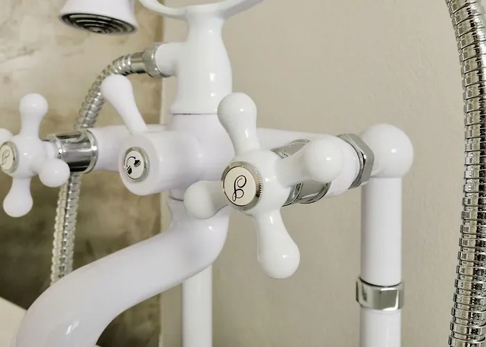 Homutuv Statek Guest house 3*