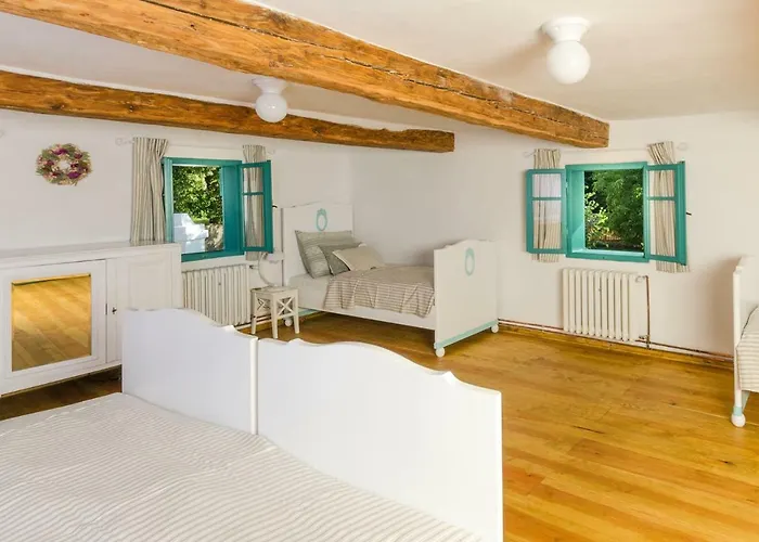 Homutuv Statek Kokorin