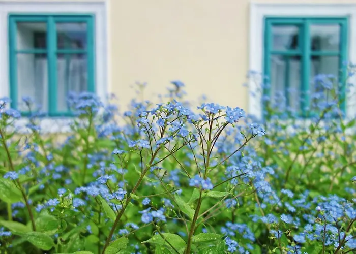 Homutuv Statek 3* Kokorin